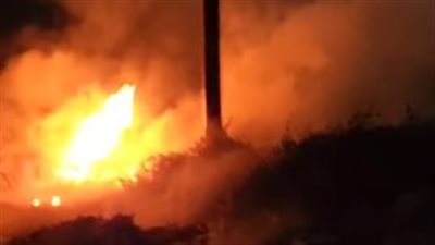 انفجار أنبوبة بوتاجاز.. السيطرة على حريق ضخم التهم مزرعة دواجن في المنيا