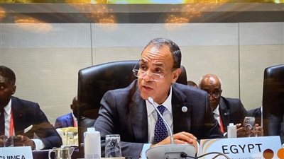 بدر عبدالعاطي: مصر تقدم 70% من مساعدات غزة وتتصدى لحملات التشويه |فيديو