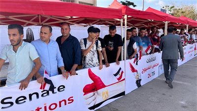 للمشاركة في الاستحقاق.. 10 خطوات للتصويت في انتخابات مجلس الشيوخ 2025  