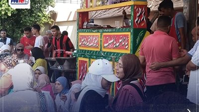 «تعالى كل قبل ماتصوت».. طوابير على عربية فول بالفيوم أمام لجان الشيوخ