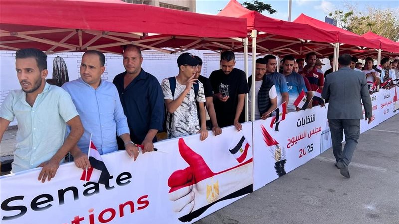 انتخابات مجلس الشيوخ