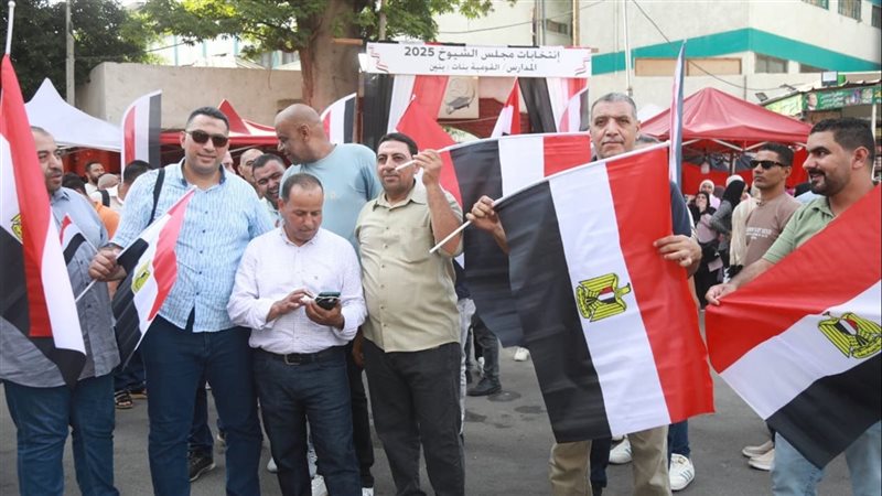 انتخابات الشيوخ-