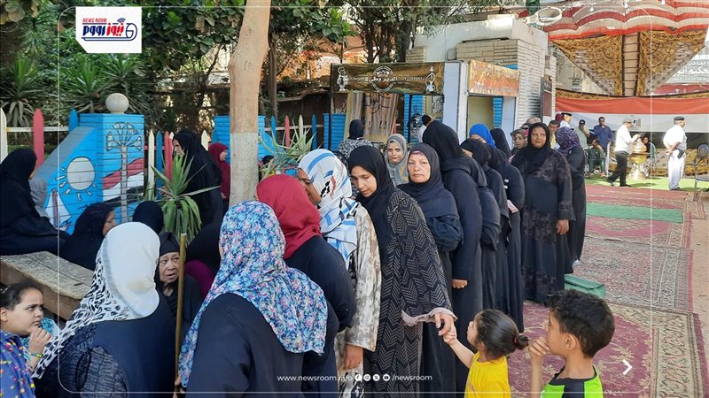 انتخابات الشيوخ بالمنيا