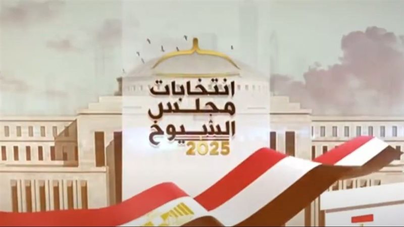 الانتخابات