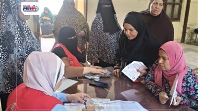 انتخابات مجلس الشيوخ بالفيوم.. مشهدا ديمقراطياً استثنائياً 