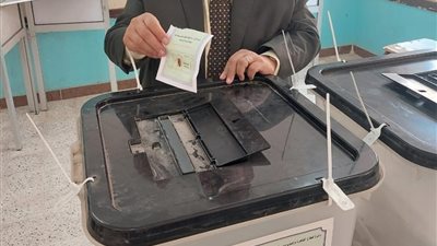 أمين العلاقات الحكومية بالجبهة الوطنية يدلي بصوته في انتخابات 