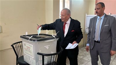 وكيل مجلس الشيوخ: إرادة المصريين هي الصخرة التي تتحطم عليها التحديات