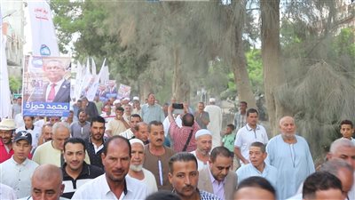 في انتخابات الشيوخ.. حشود في أبيس وكبار السن في الرمل وأكبر علم لمصر في العجمي