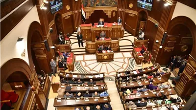 الاقتصاد أولاً.. مجلس الشيوخ يرسم خريطة الإصلاح من الداخل