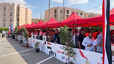 محافظ القاهرة يشيد بالإقبال الجماهيري الكبير على انتخابات مجلس الشيوخ