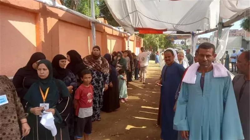 انتخابات مجلس الشيوخ