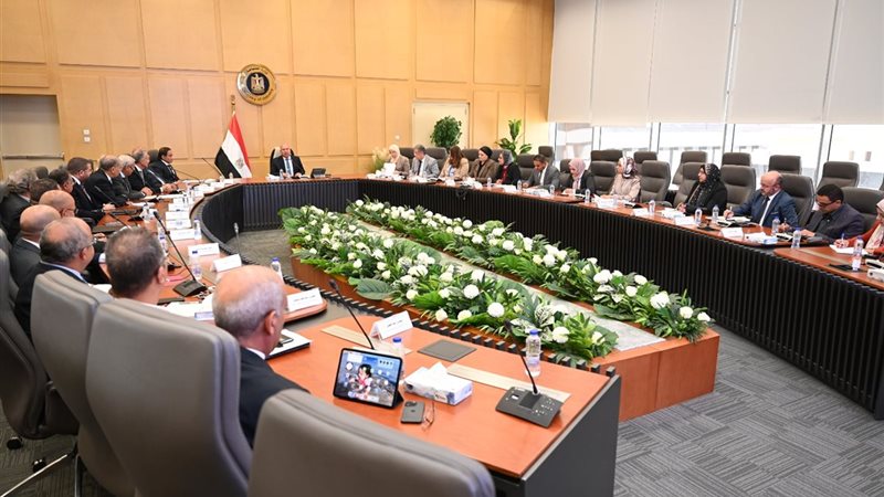 كامل الوزير