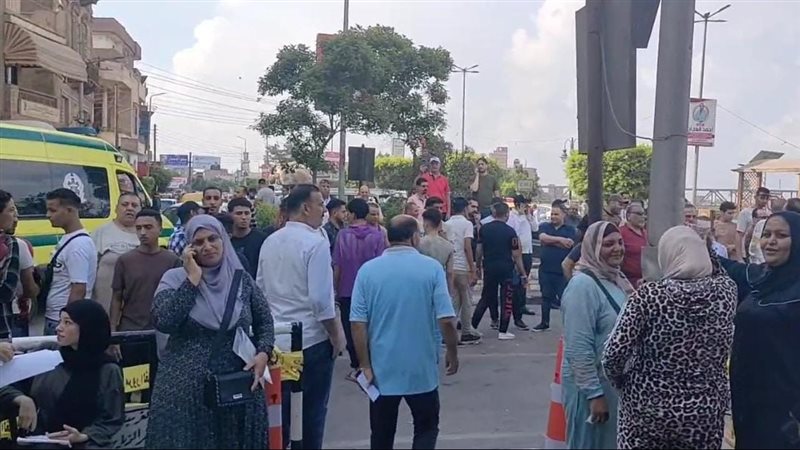  انتخابات مجلس الشيوخ