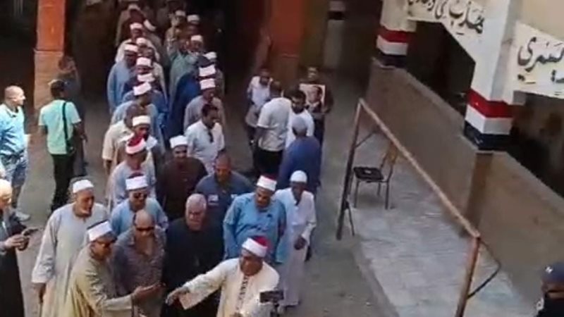 انتخابات مجلس الشيوخ