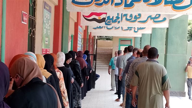 انتخابات مجلس الشيوخ
