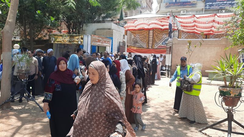 انتخابات الشيوخ بالمنيا