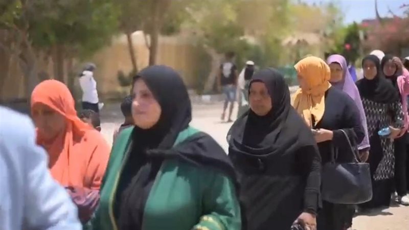 انتخابات مجلس الشيوخ