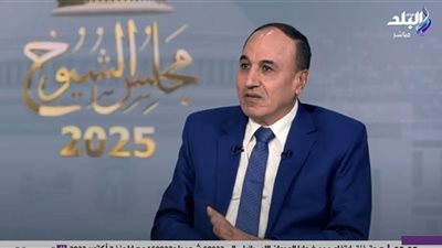 عبدالمحسن سلامة: المشاركة في الانتخابات ضرورة ومسؤولية وطنية |فيديو