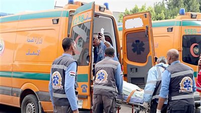 سقطت عليه مروحة.. إصابة مواطن أثناء التصويت في لجنة مدرسة القنادلة بأسوان 