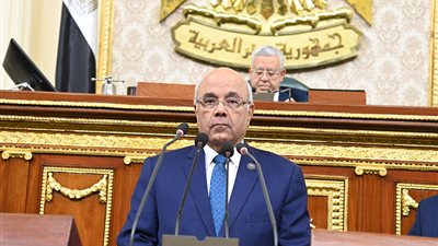 رئيس «إسكان النواب»: حصر شقق الإيجار القديم سيتم وفقًا للمناطق وليس بشكل فردي