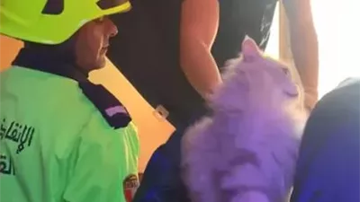 من حريق رمسيس لإنقاذ قطة.. رجال الحماية المدنية في مواجهة التحديات دائماً