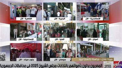 توافد كبير للناخبين للإدلاء بأصواتهم في انتخابات مجلس الشيوخ بالعباسية |فيديو 
