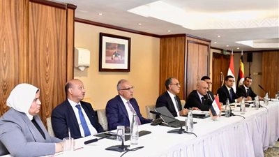 وزير الري: 100 مليون دولار لدعم مشروعات التنمية في دول حوض النيل