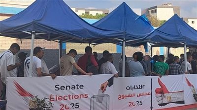 الشباب والنساء وكبار السن يصطفون أمام لجان انتخابات مجلس الشيوخ2025