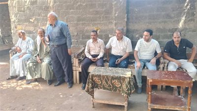 «الزراعة» تدعم الصادرات بـ25 ألف شتلة فاكهة و412 ألف فراولة خلال يوليو