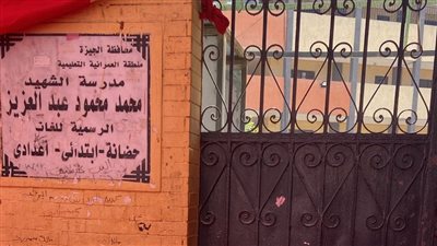 استراحة مؤقتة في التصويت بانتخابات الشيوخ لمدة ساعة استراحة القضاء