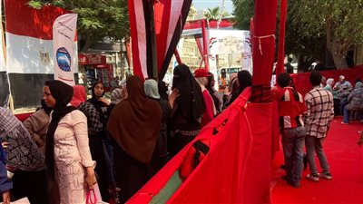 اليوم.. بدء تصويت المصريين في جولة الإعادة لانتخابات الشيوخ 2025