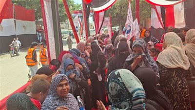 انطلاق التصويت في جولة الإعادة لانتخابات مجلس الشيوخ بـ5 دوائر