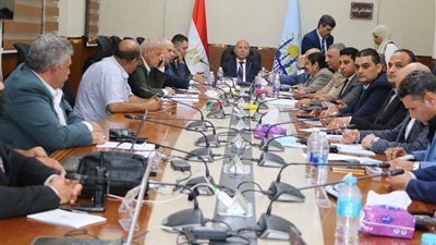 محافظ القاهرة يعلن بدء فرز أصوات مجلس الشيوخ بعد غلق اللجان