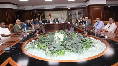 فصل التيار الكهربائي الأربعاء والخميس.. ومحافظ بني سويف يشرف على ختام التصويت