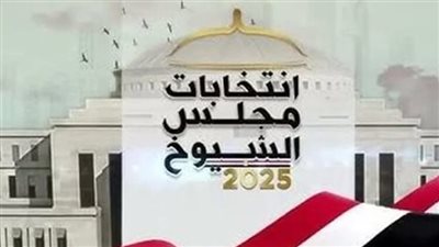 الهيئة الوطنية: لا خروقات باليوم الأول للتصويت بالشيوخ ولا مخالفات وقت الصمت