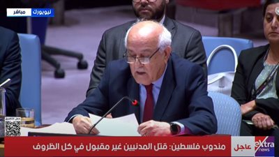 مندوب فلسطين: لا مبرر لقتل 60 ألف فلسطيني بينهم 20 ألف طفل على يد إسرائيل