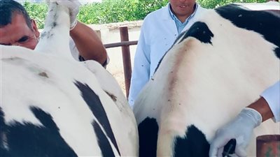 «الزراعة» تواصل جهود الكشف المبكر والسيطرة على الأمراض المشتركة خلال يوليو