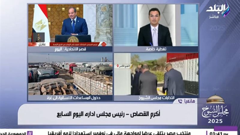 أكرم القصاص