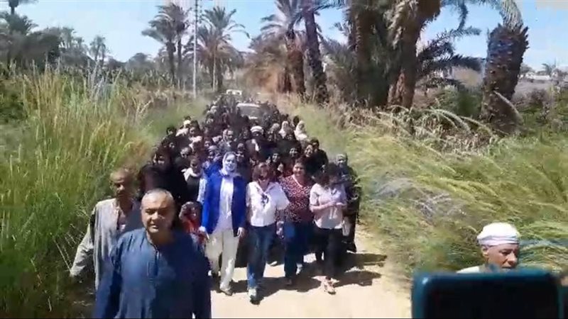 انتخابات الشيوخ 2025