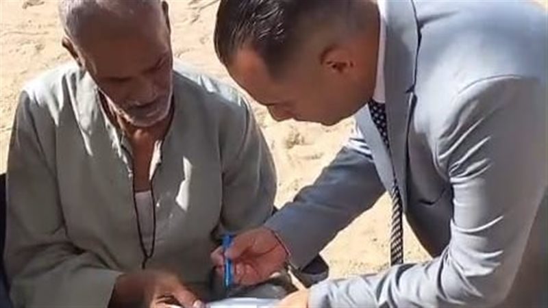 انتخابات الشيوخ 2025