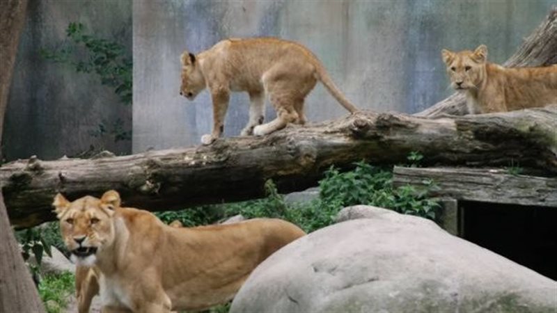 صورة تعبيرية