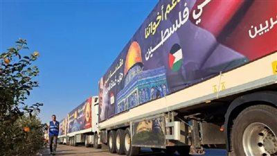 محمد مشهود: 70 ألف طن إجمالي دعم الشعب المصري للأشقاء الفلسطينيين |فيديو