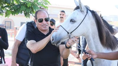 الرئيس السيسي يداعب الخيول بالأكاديمية العسكرية ويوجه رسائل عربية حاسمة