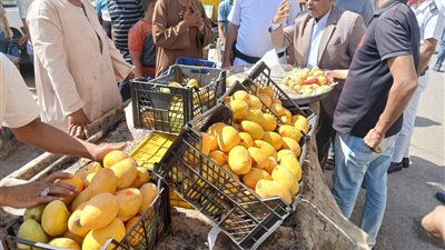 سكرتير مساعد سوهاج يقود حملة مكبرة لرفع الإشغالات بشوارع مدينة ناصر| صور