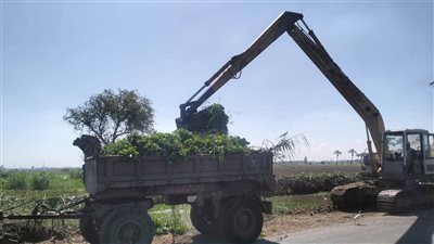 دمياط تشهد حملة بيئية مكثفة لتحسين النظافة ومكافحة التلوث