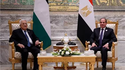 حركة فتح: مصر تصدت لمحاولات التهجير وموقفها تجاه غزة لا يقدر بثمن|فيديو 