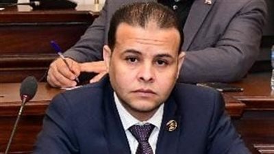 برلماني: مصر تقود مرحلة حاسمة لترسيخ السلام في الشرق الأوسط