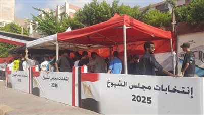 الأقصر توفر مظلات وكراسِ متحركة لتيسير التصويت بجولة الإعادة|فيديو 