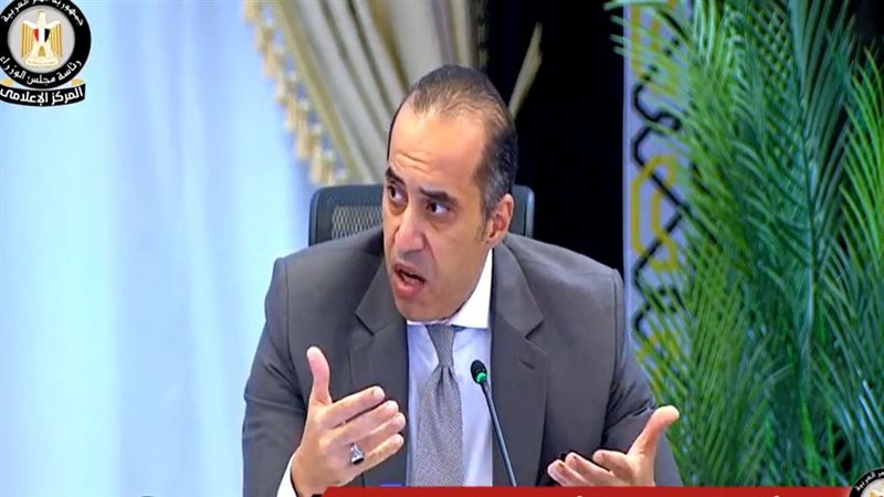 المستشار محمود فوزي