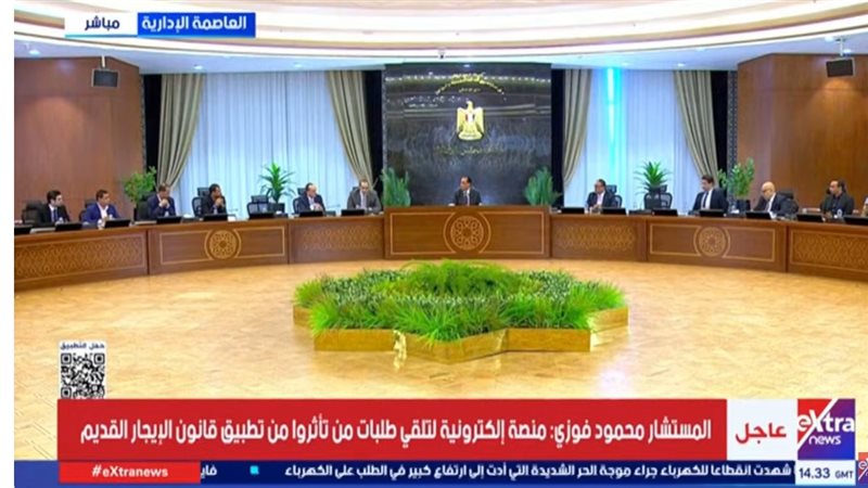  المستشار محمود فوزي